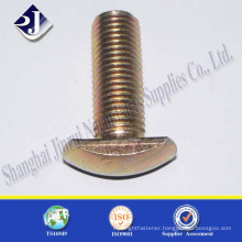 non standard T type bolt all sizes with ISO standard